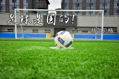 加维训练