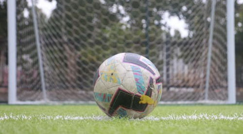 上海大师赛：弗里茨2-0大卫·戈芬 晋级男单半决赛