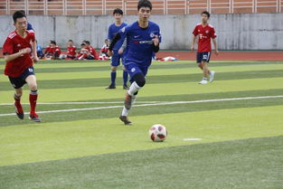 CBA：山东高速男篮客战福建队 力争三连胜